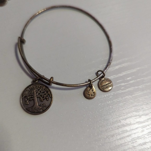 ALEX and Ani Bundle of 3 Bangle Charm Bracelets‎ Adjustable - Picture 2 of 8